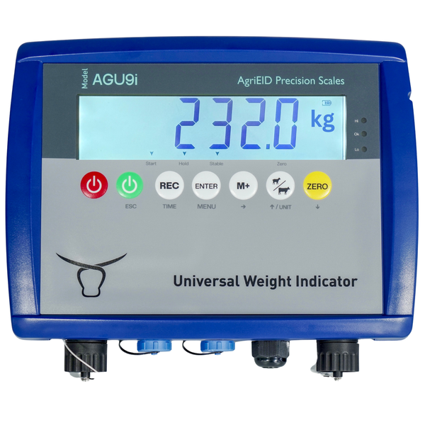 Bluetooth indicator
