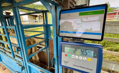 Digital Farm System - In the yards